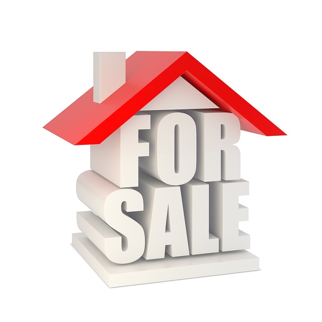 Quels sont les meilleurs types de propriétés pour un achat immobilier rentable?