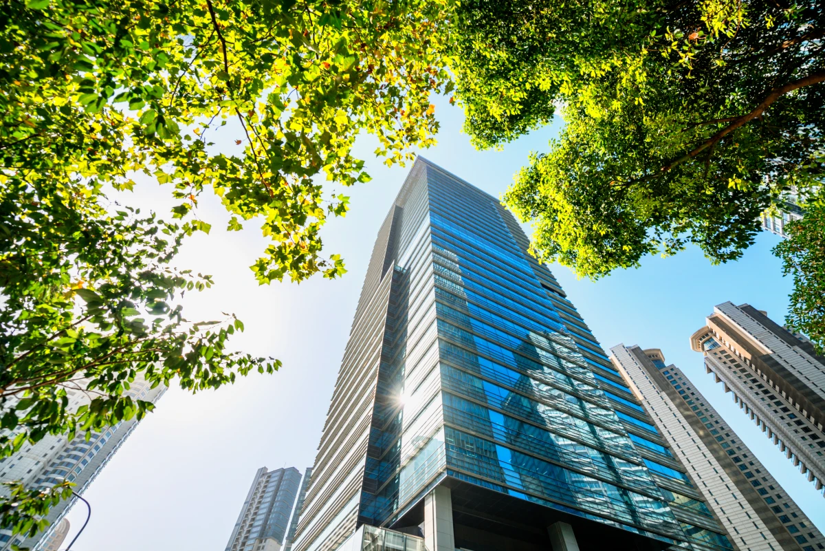 Révolution verte : L'immobilier écologique redéfinit l'habitat de demain